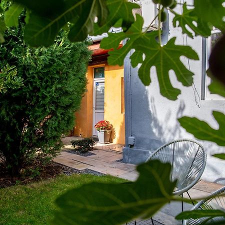 Dulcineea Downtown Garden Studio Timisoara Ngoại thất bức ảnh