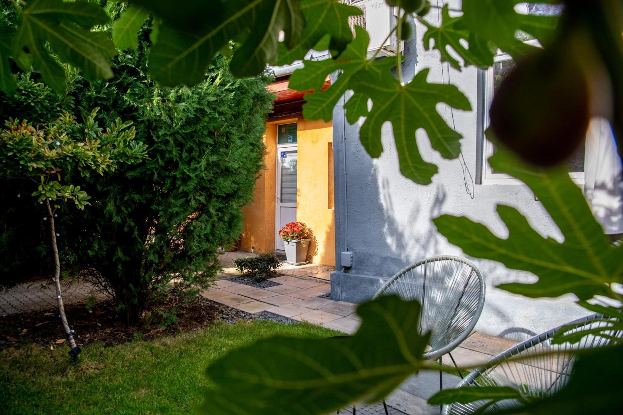 Dulcineea Downtown Garden Studio Timisoara Ngoại thất bức ảnh
