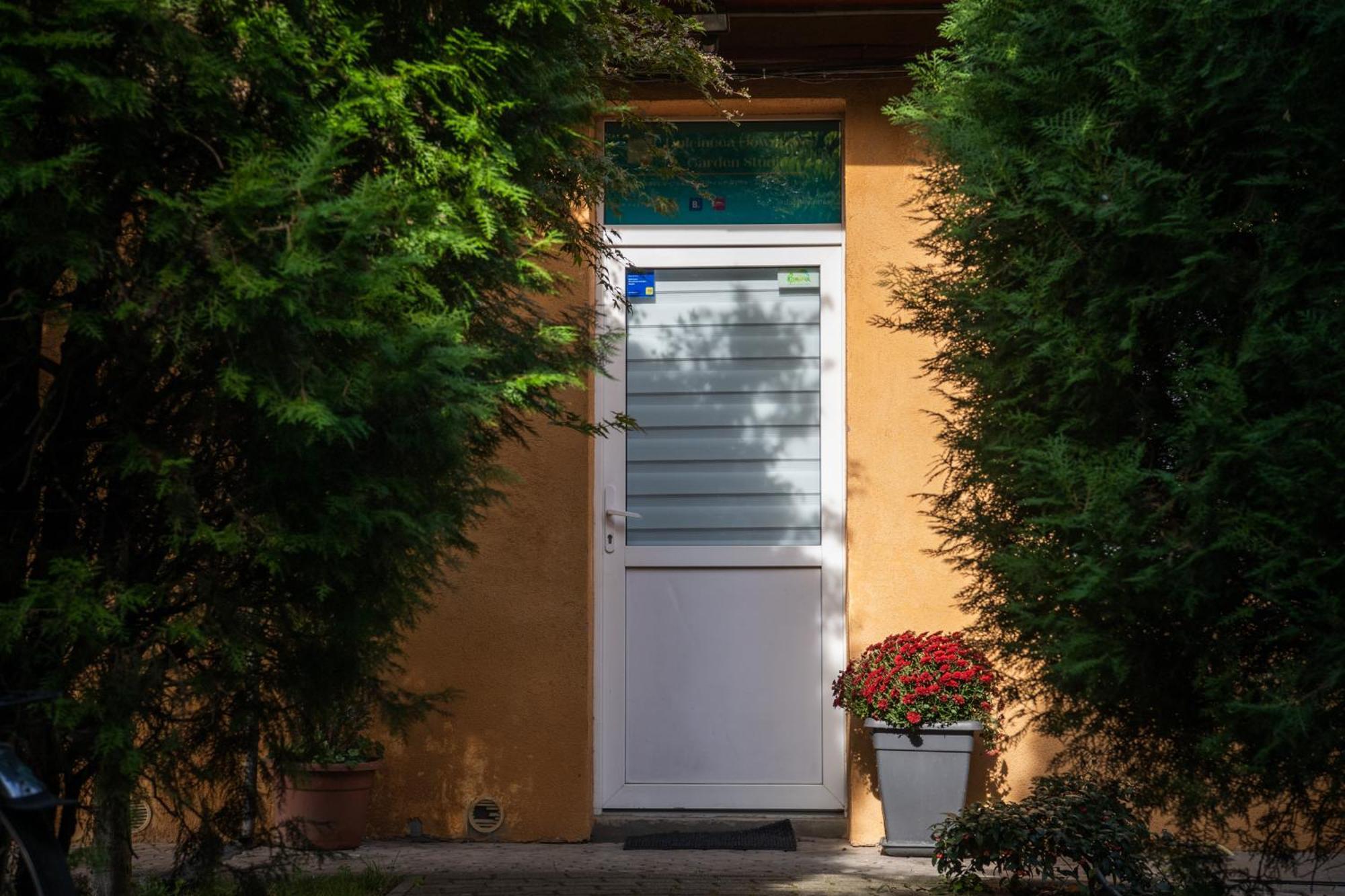 Dulcineea Downtown Garden Studio Timisoara Ngoại thất bức ảnh