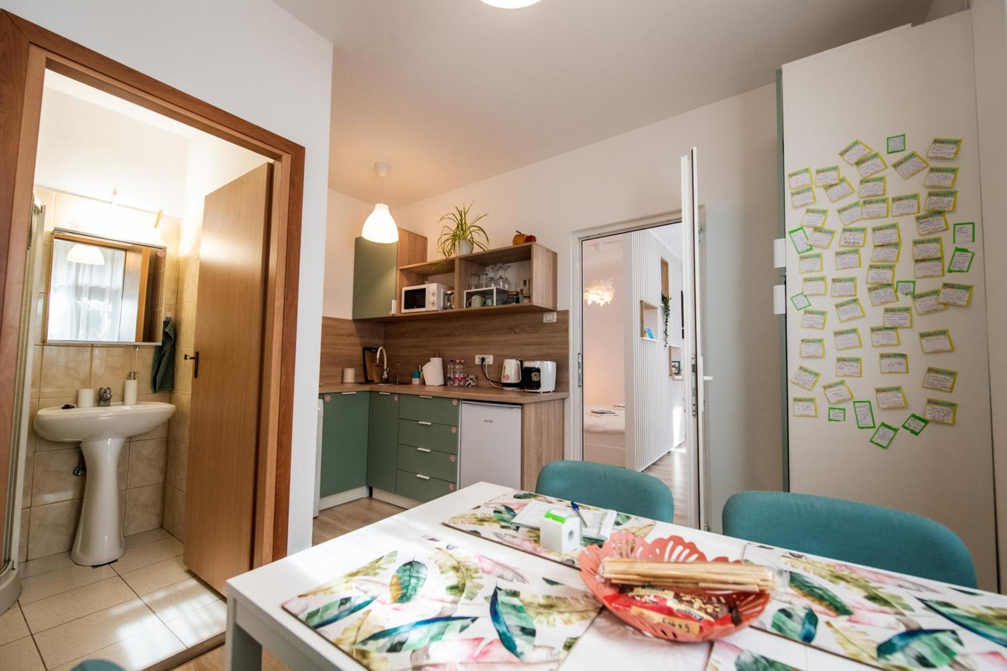 Dulcineea Downtown Garden Studio Timisoara Ngoại thất bức ảnh